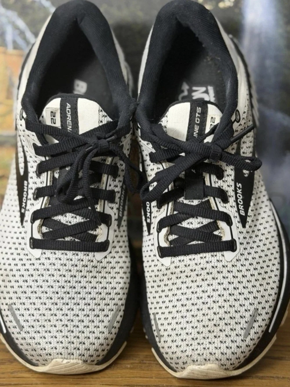 Brooks adrenaline gts